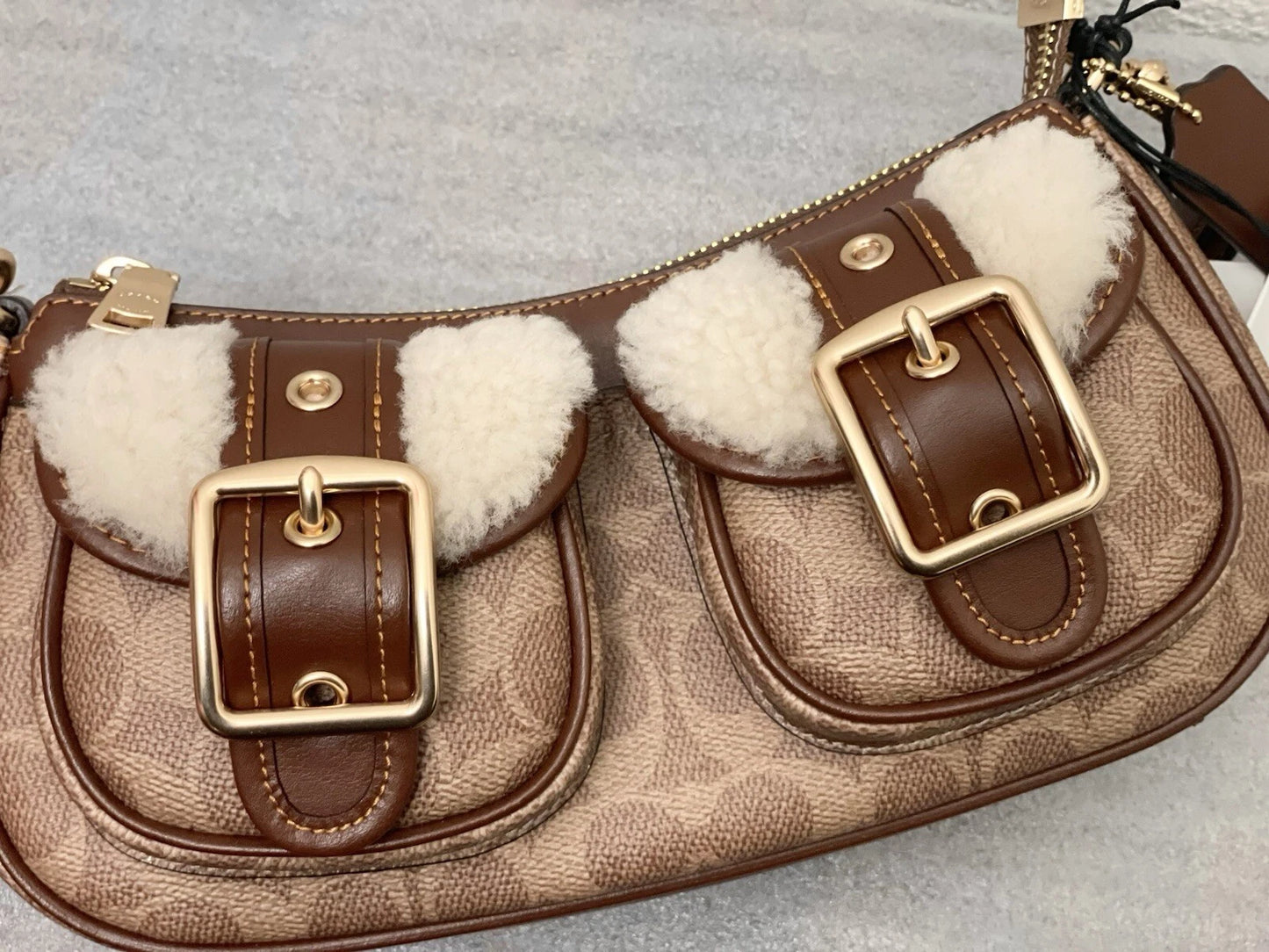 Coach Ashton Baguette