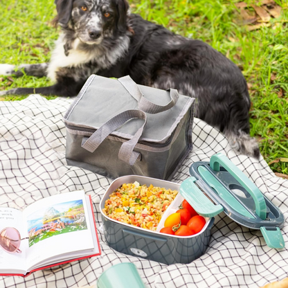 Portable Electric Lunch Box