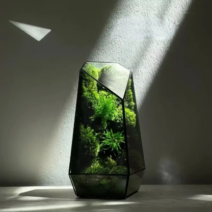 Moss Prism Terrarium