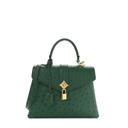LV Rose Des Vents Mini