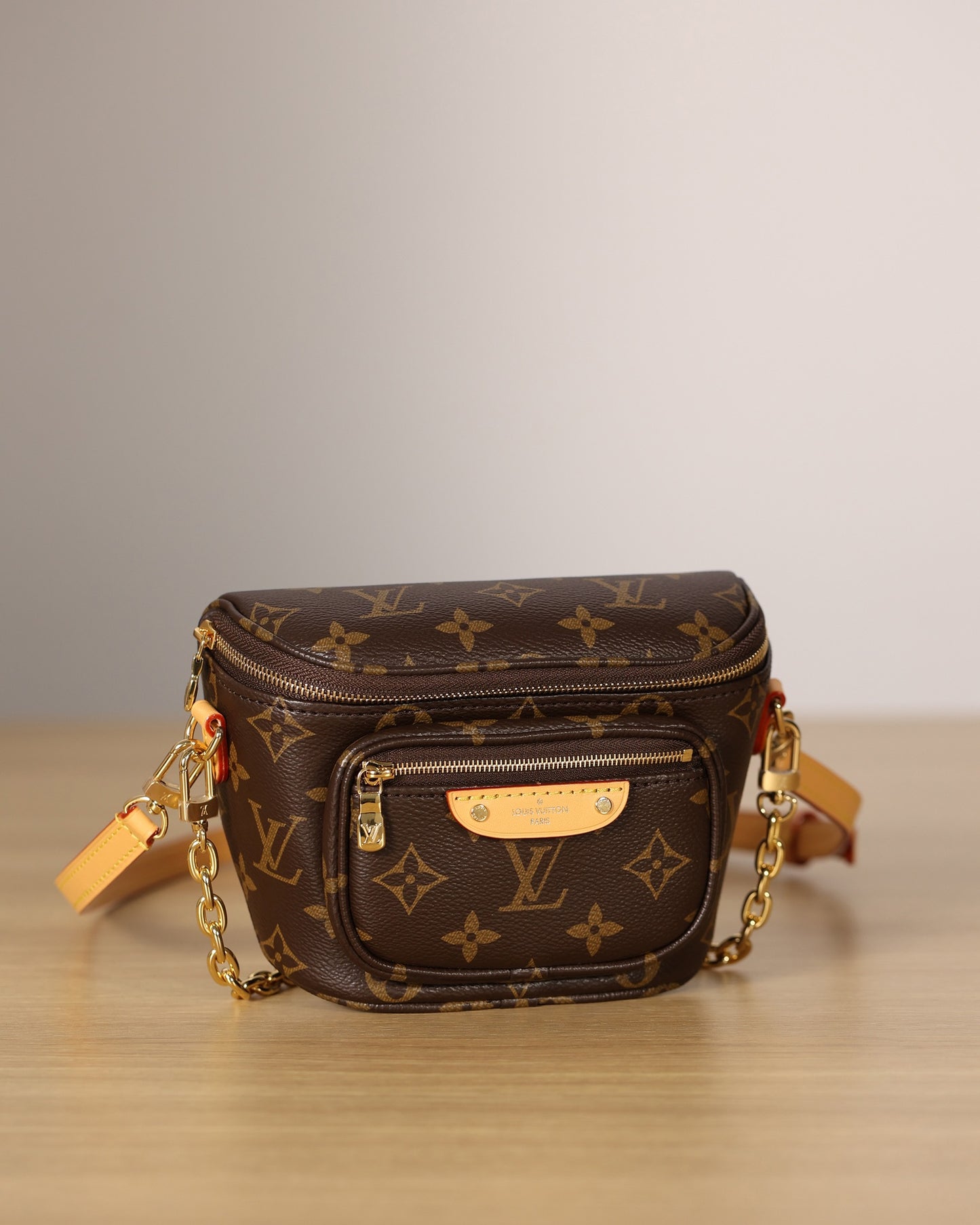 LV Monogram Mini Bumbag Bag