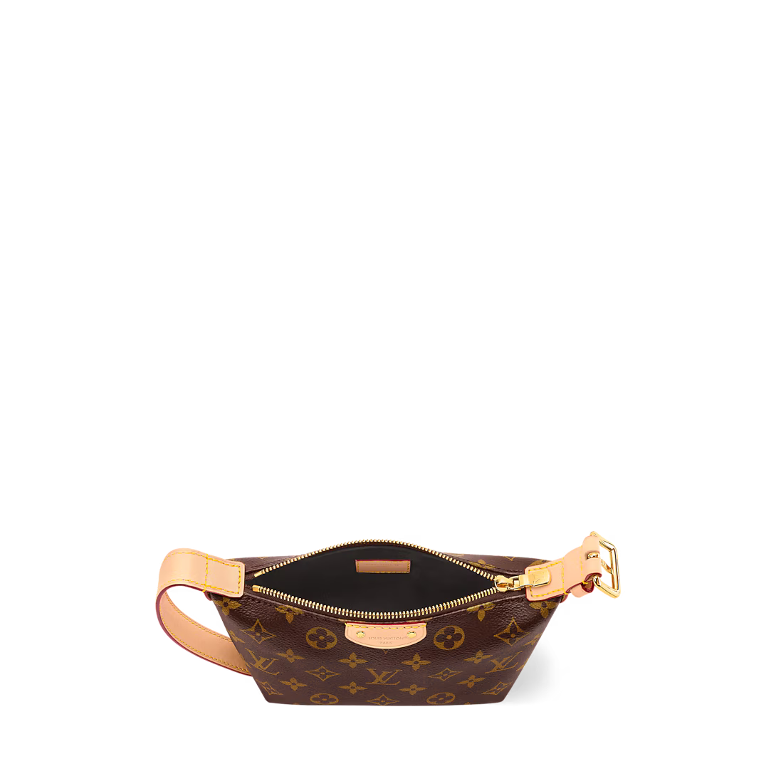LV Hills Pochette Bag