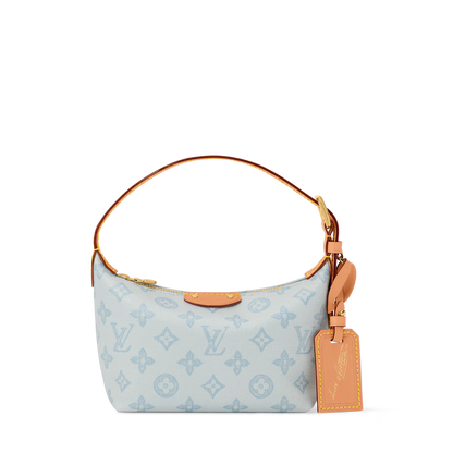 LV Hills Pochette Bag