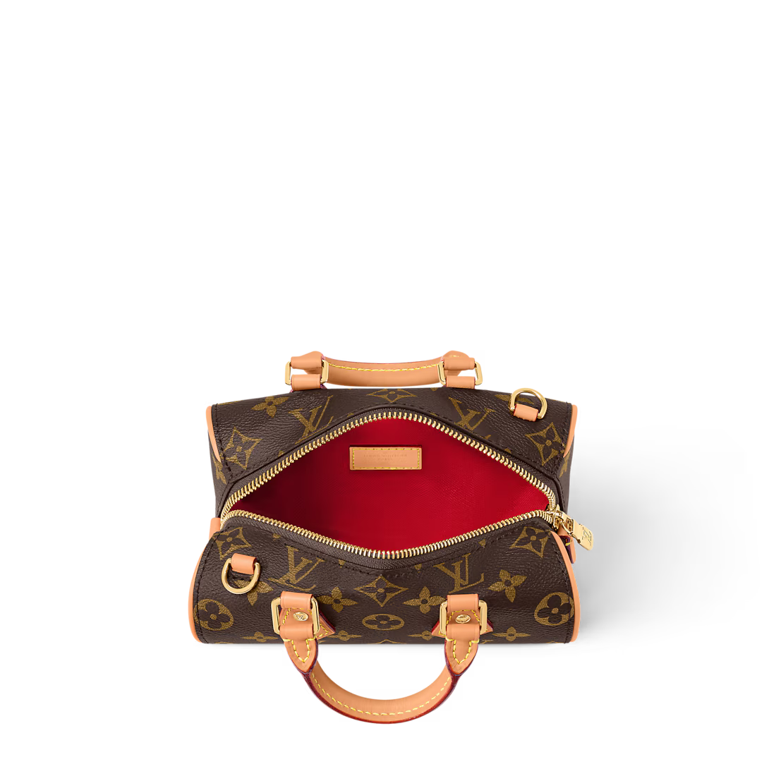 LV Nano Speedy Dating Bag