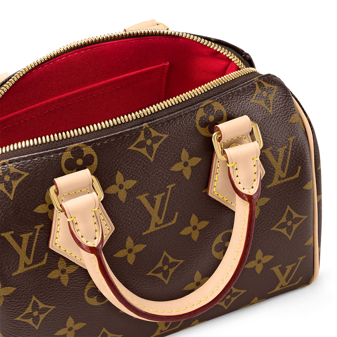 LV Speedy 20 Bag