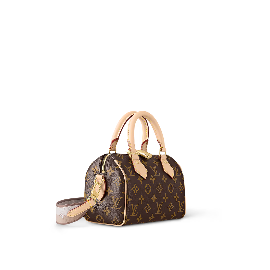 LV Speedy 20 Bag